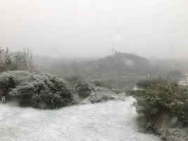 Summer in Leones valley