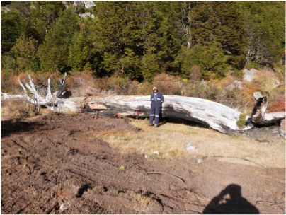 result of fires, XX century, Aysen