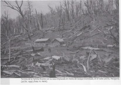 ecological disaster, valle Leones 1939