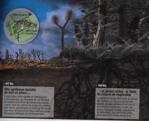 470 millions years ago